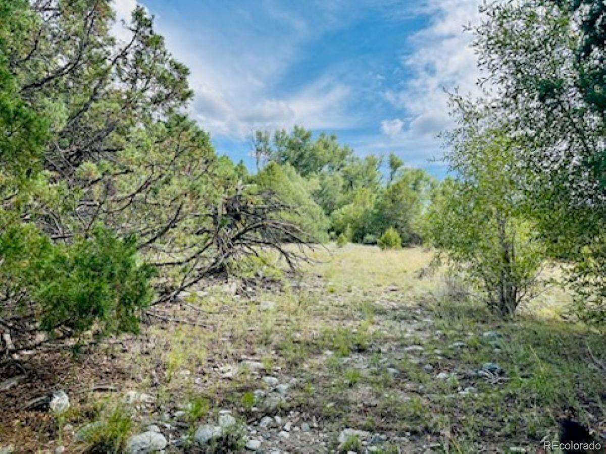 2 Acres of Residential Land for Sale in Mosca, Colorado