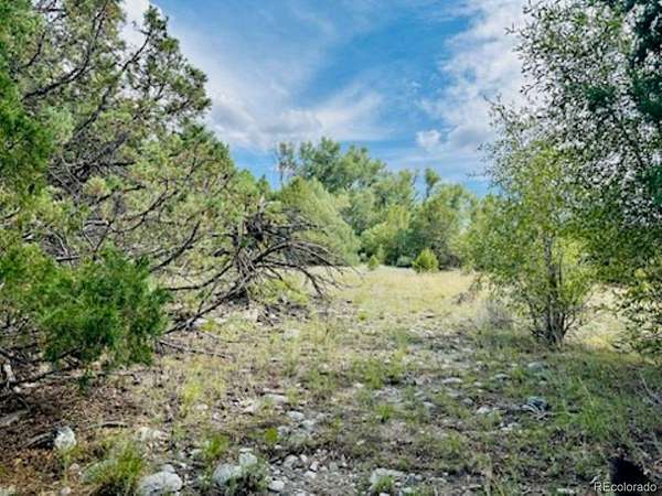 2 Acres of Residential Land for Sale in Mosca, Colorado