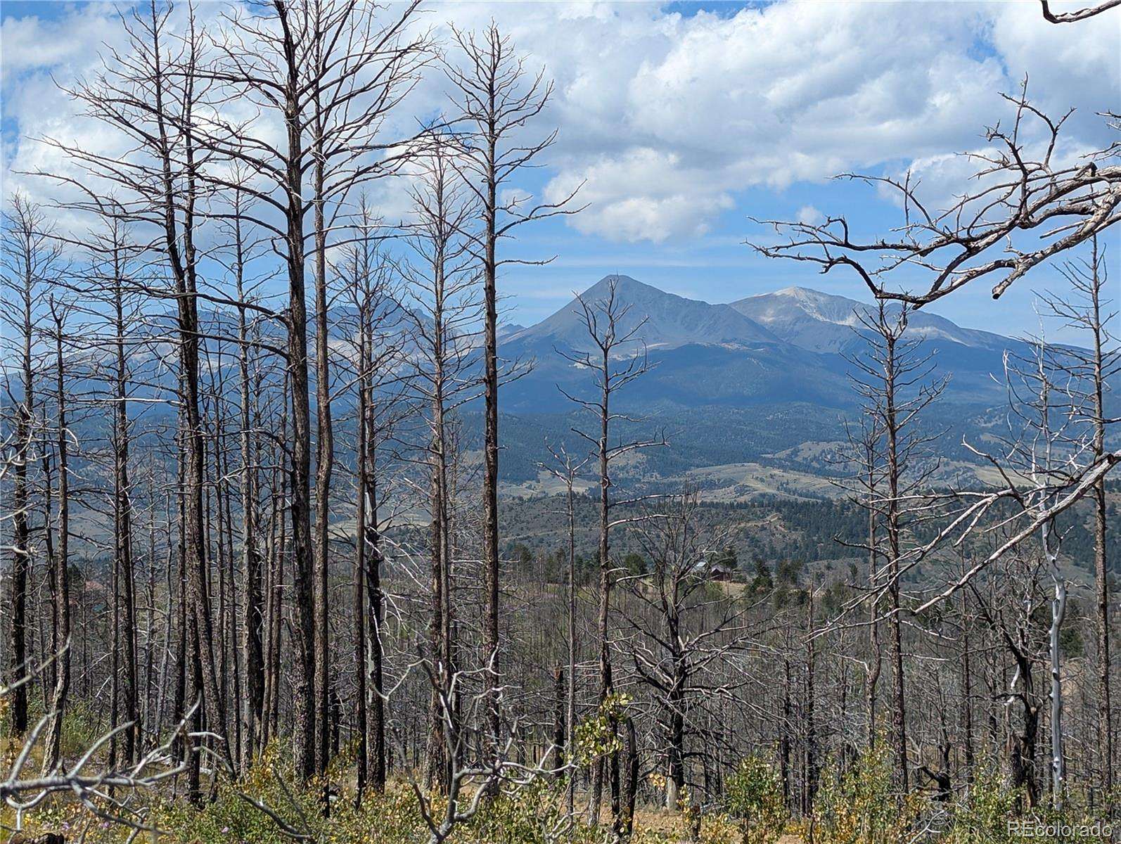 1.28 Acres of Residential Land for Sale in Fort Garland, Colorado