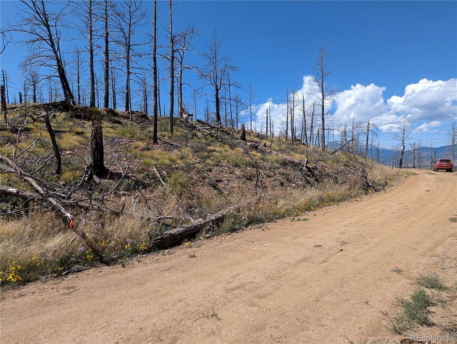 1.28 Acres of Residential Land for Sale in Fort Garland, Colorado
