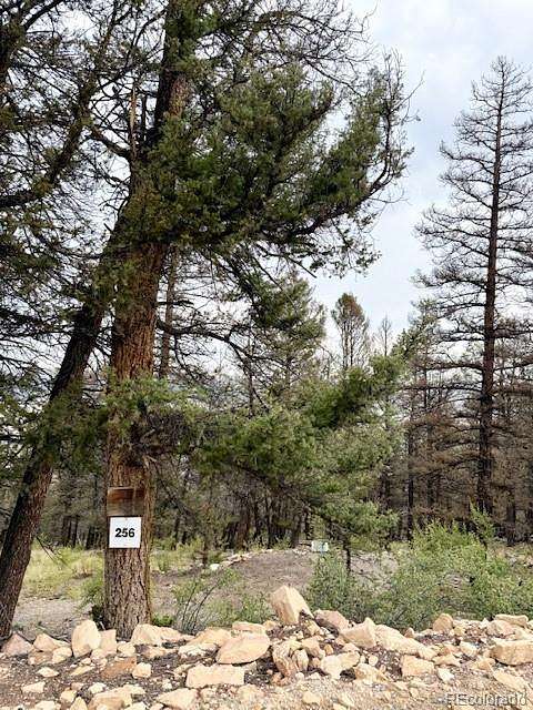 2 Acres of Residential Land for Sale in Fairplay, Colorado