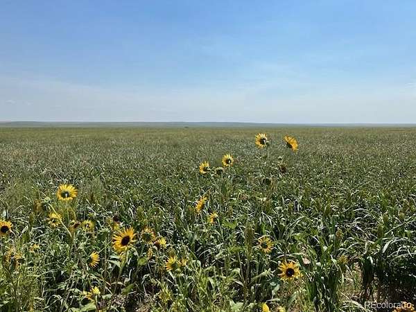 14,282 Acres of Land for Sale in Byers, Colorado