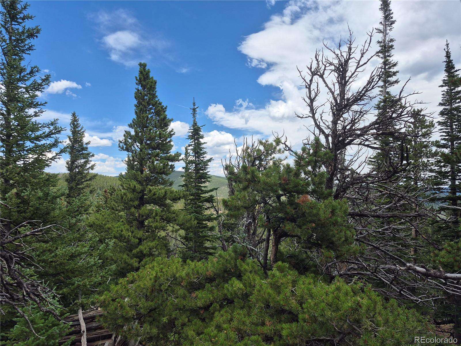 5 Acres of Land for Sale in Nederland, Colorado