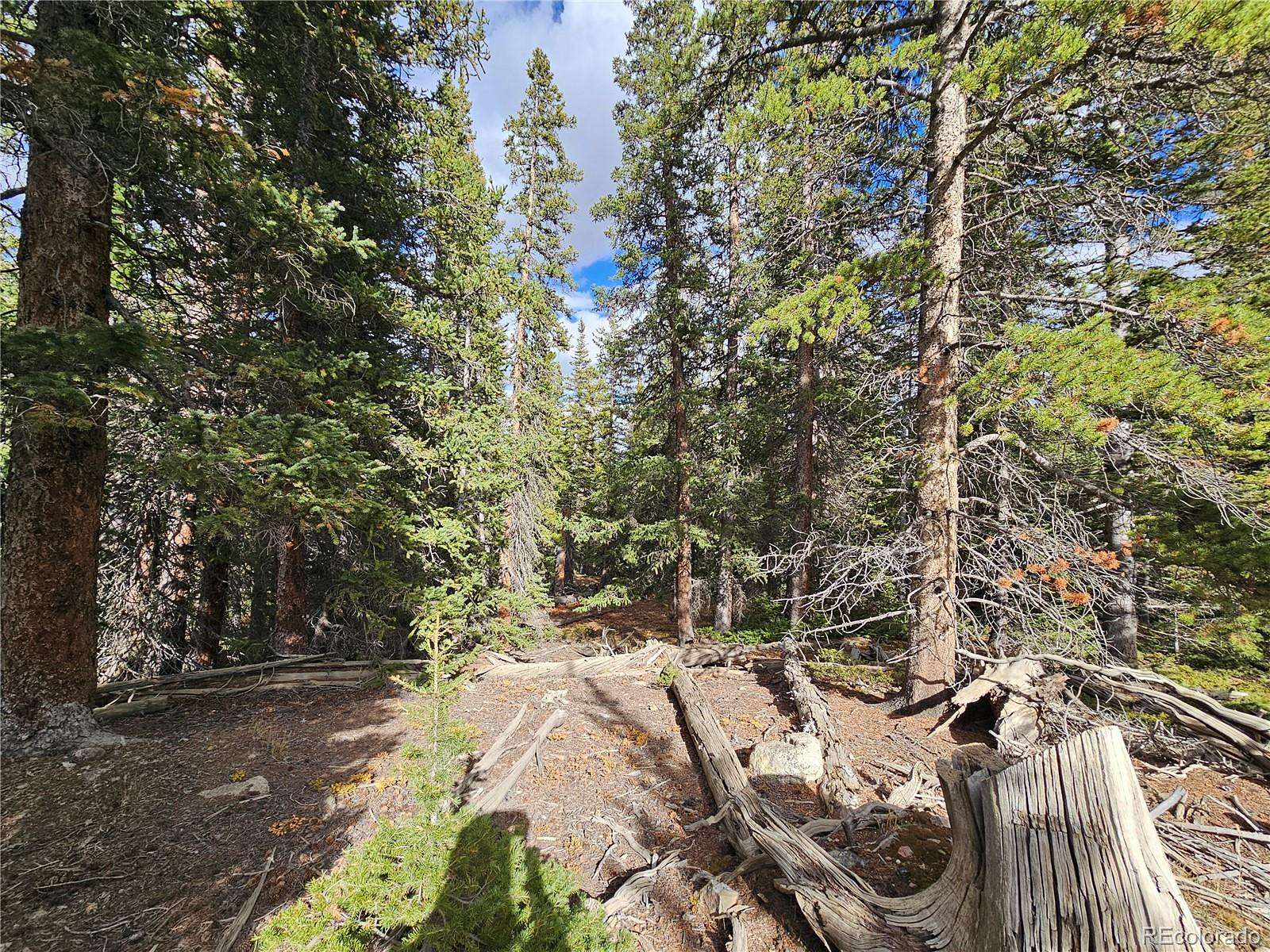 1.63 Acres of Residential Land for Sale in Fairplay, Colorado