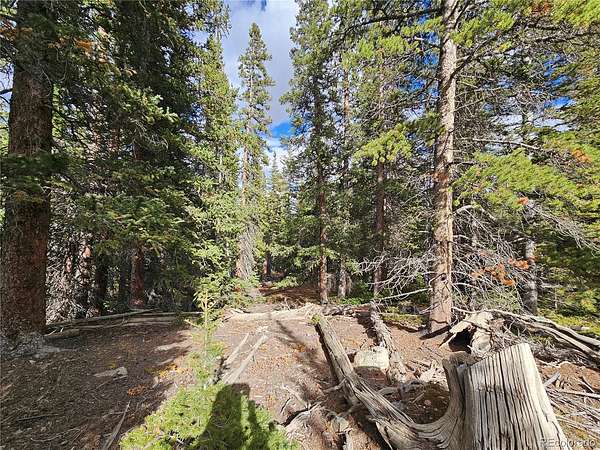 1.63 Acres of Residential Land for Sale in Fairplay, Colorado