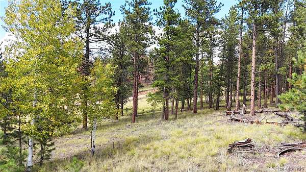 5.25 Acres of Land for Sale in Lake George, Colorado