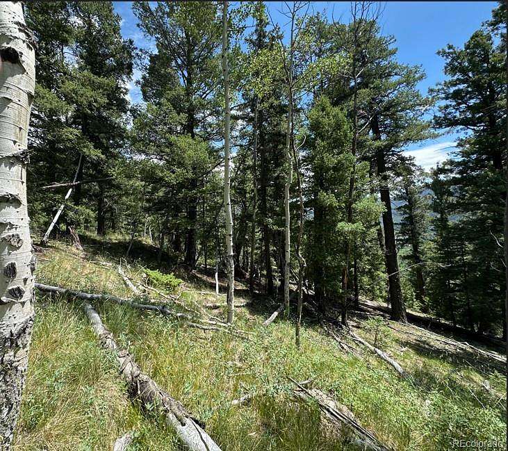 2 Acres of Land for Sale in Jasper, Colorado