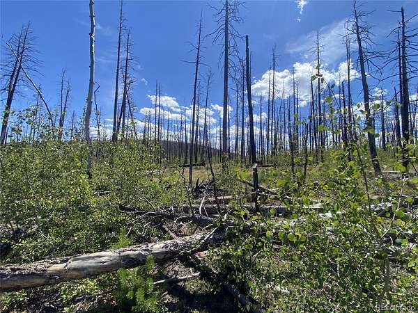 1.46 Acres of Residential Land for Sale in Fort Garland, Colorado