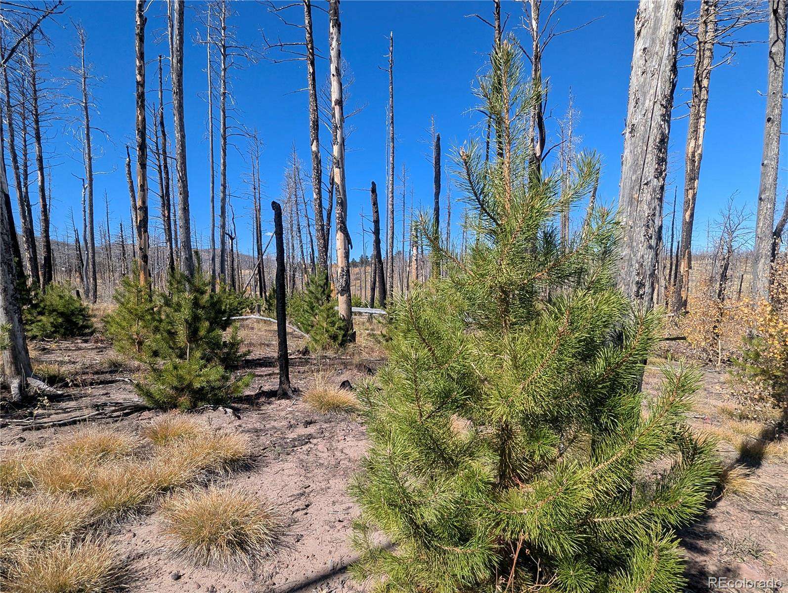 1.38 Acres of Residential Land for Sale in Fort Garland, Colorado