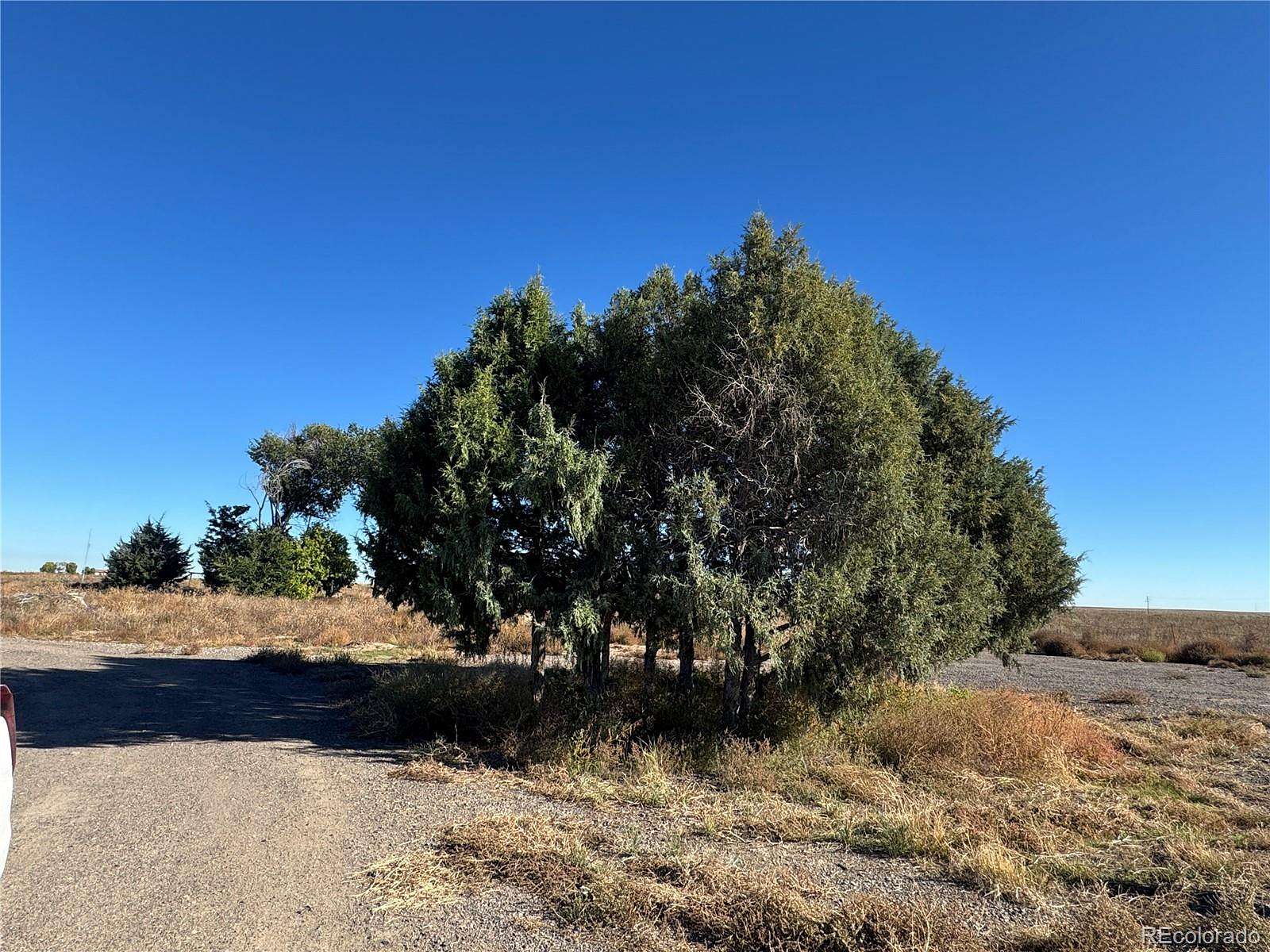 37.3 Acres of Recreational & Residential Land for Sale in Hudson, Colorado