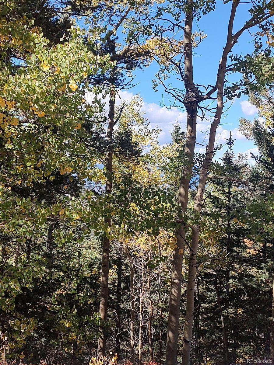 8.8 Acres of Residential Land for Sale in Fort Garland, Colorado