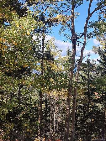 8.8 Acres of Residential Land for Sale in Fort Garland, Colorado