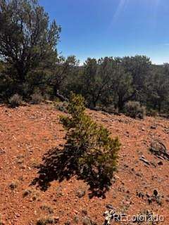 5.24 Acres of Residential Land for Sale in San Luis, Colorado