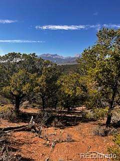 5.24 Acres of Residential Land for Sale in San Luis, Colorado