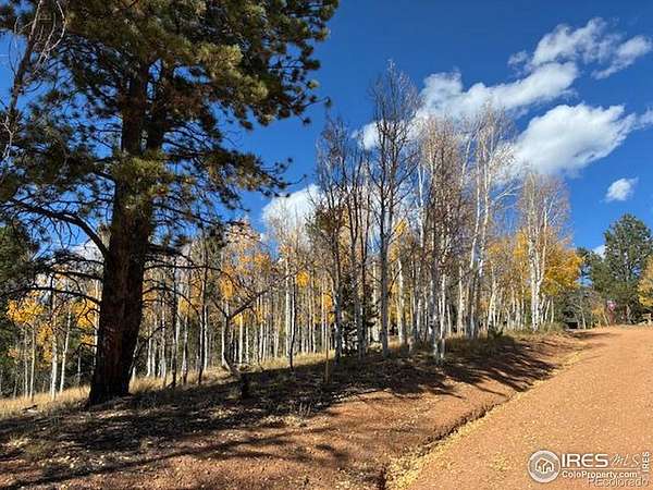 0.98 Acres of Residential Land for Sale in Divide, Colorado