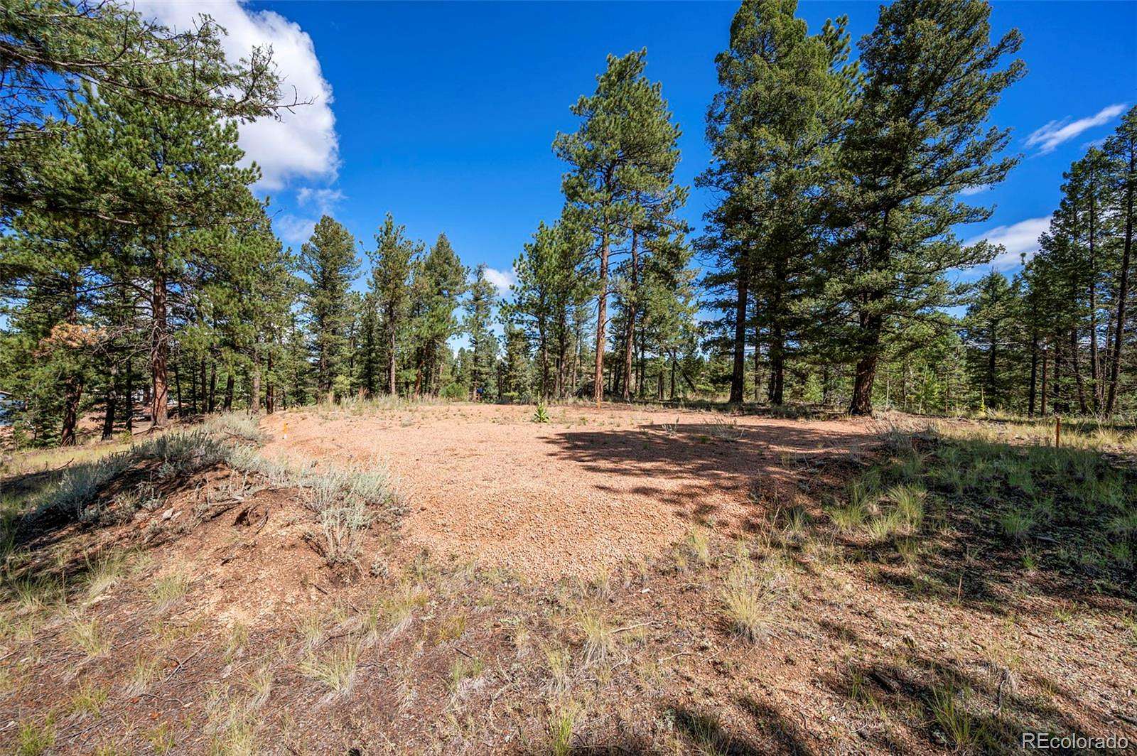 0.66 Acres of Residential Land for Sale in Florissant, Colorado