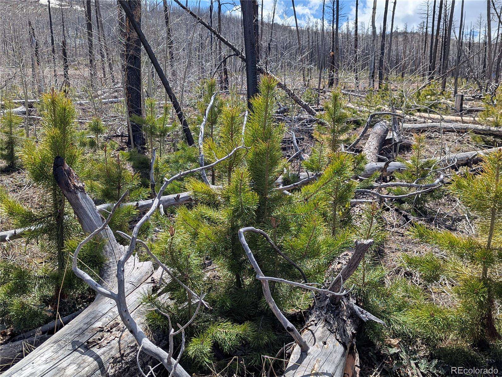 1.64 Acres of Residential Land for Sale in Fort Garland, Colorado