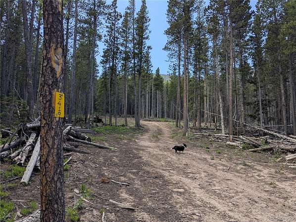 1.65 Acres of Residential Land for Sale in Fort Garland, Colorado