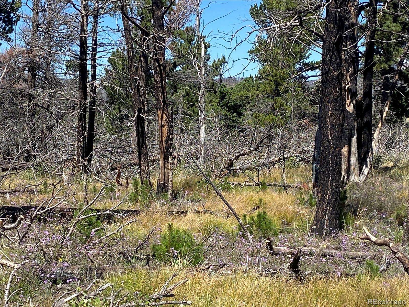 1.76 Acres of Residential Land for Sale in Fort Garland, Colorado