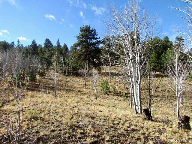 7.66 Acres of Land for Sale in Hartsel, Colorado