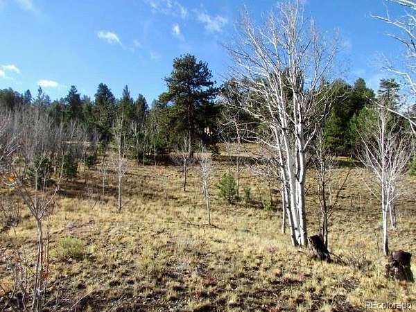 7.66 Acres of Land for Sale in Hartsel, Colorado