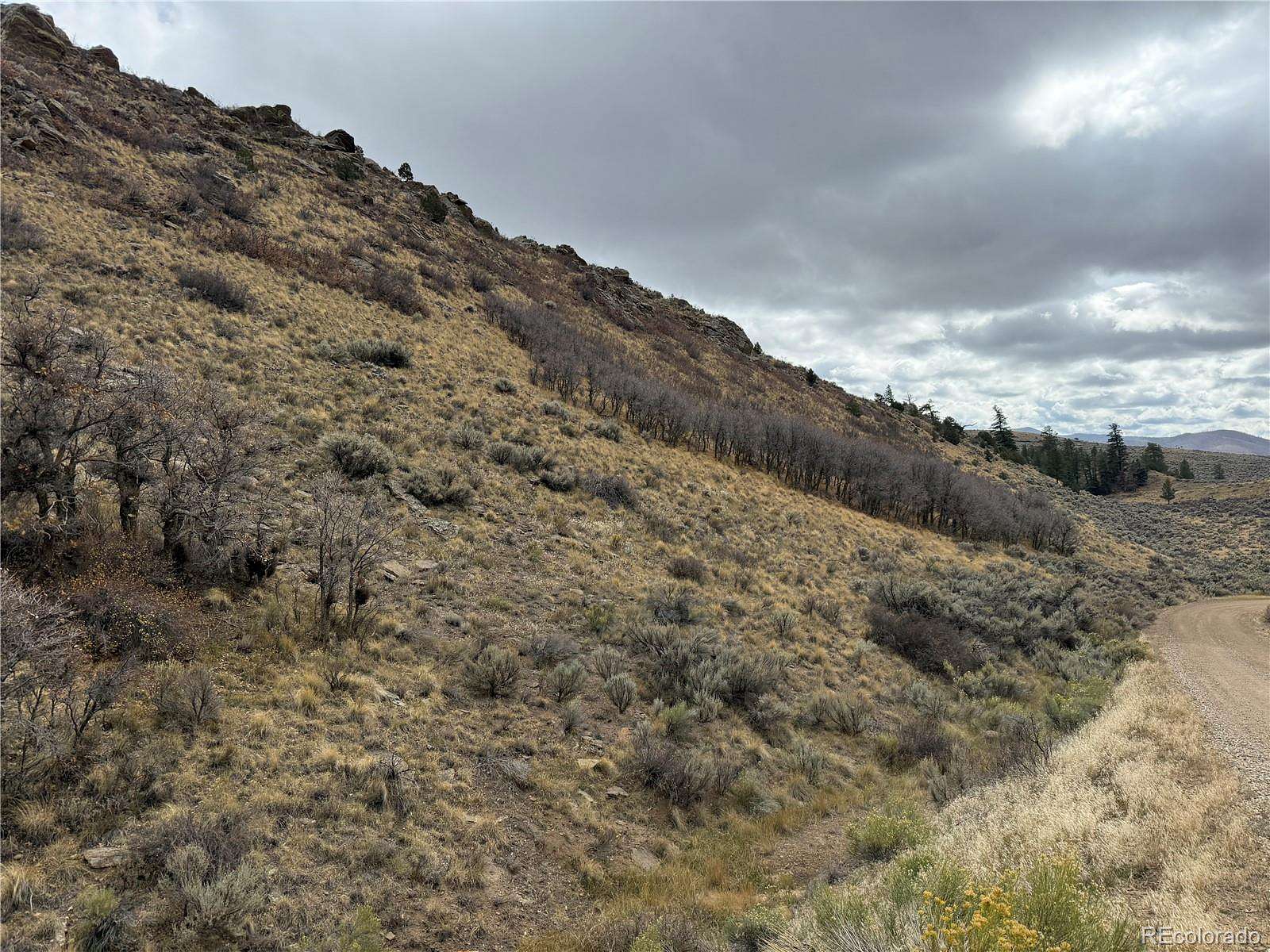 40 Acres of Land for Sale in Fort Garland, Colorado