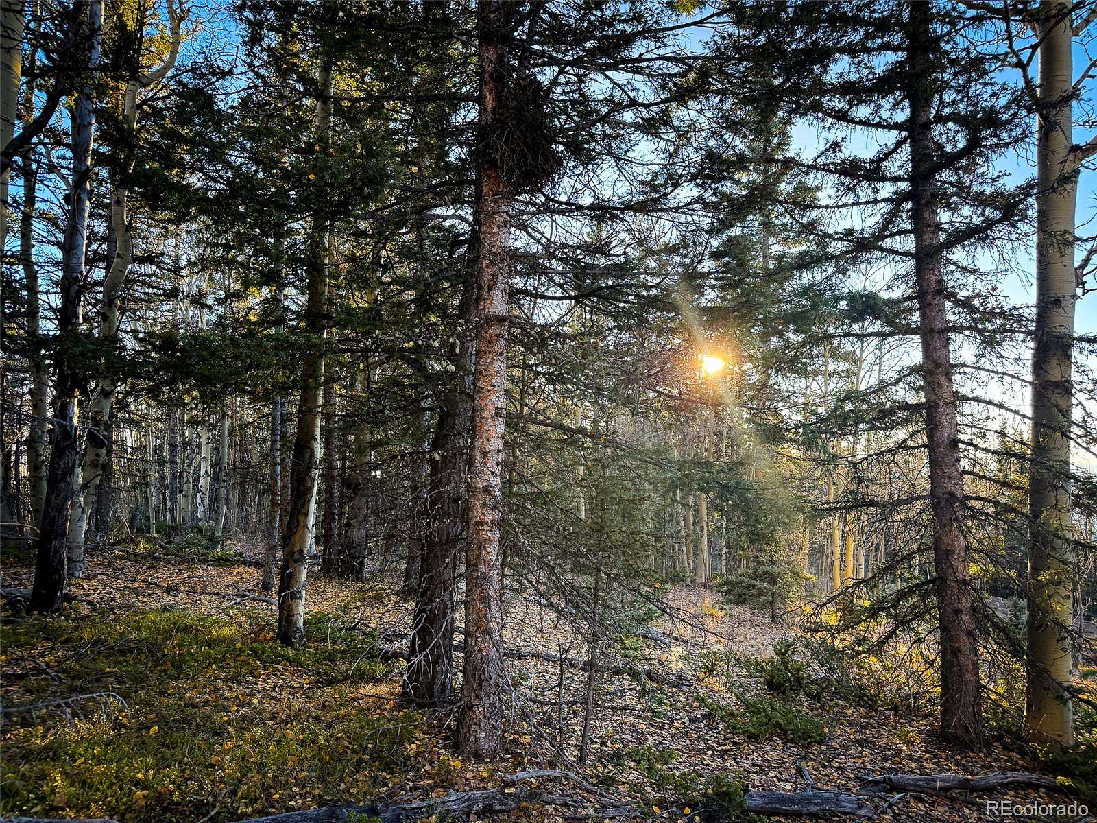 5.24 Acres of Residential Land for Sale in San Luis, Colorado