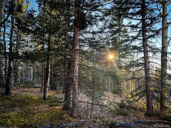 5.24 Acres of Residential Land for Sale in San Luis, Colorado