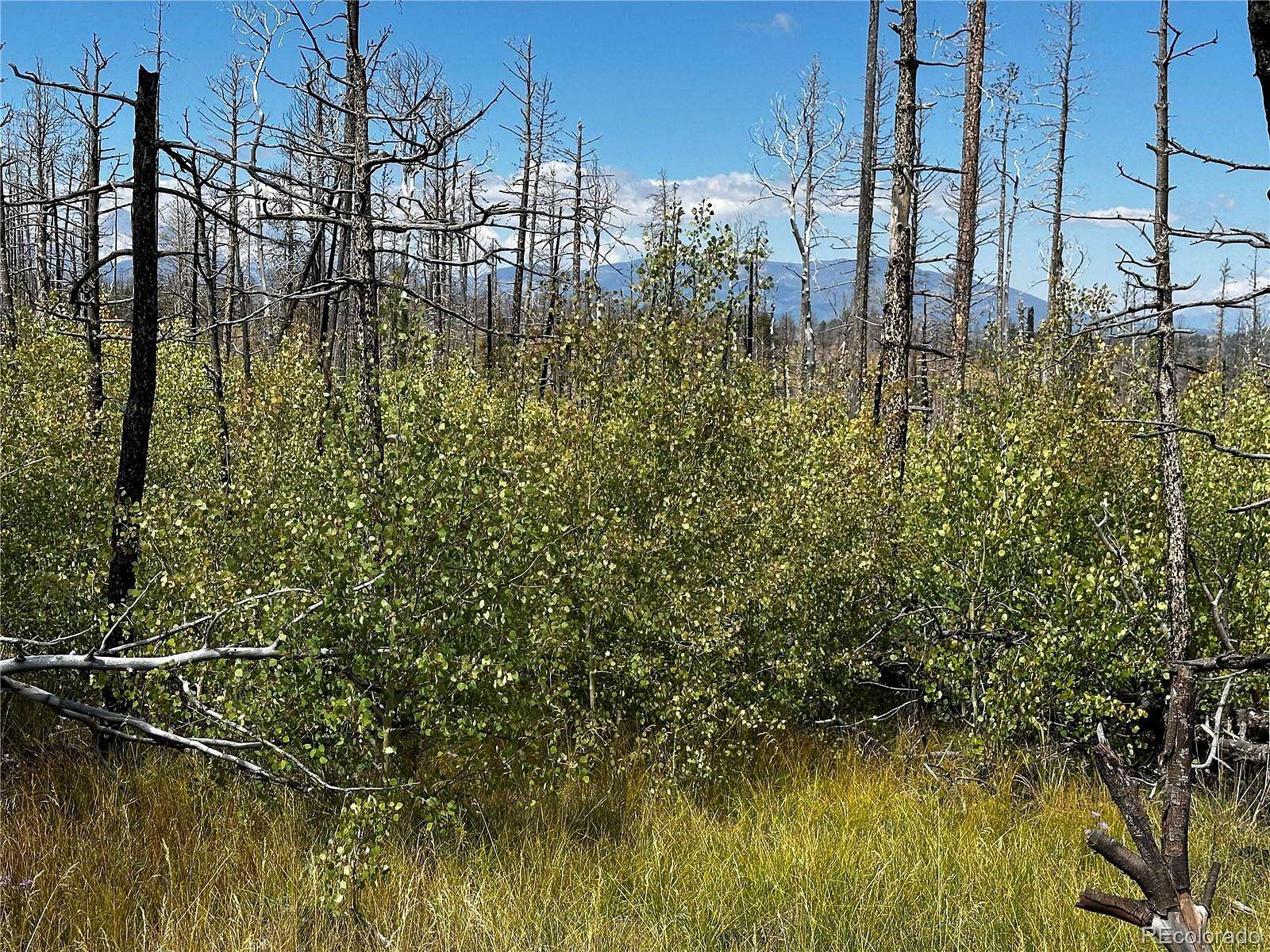 2.5 Acres of Residential Land for Sale in Fort Garland, Colorado