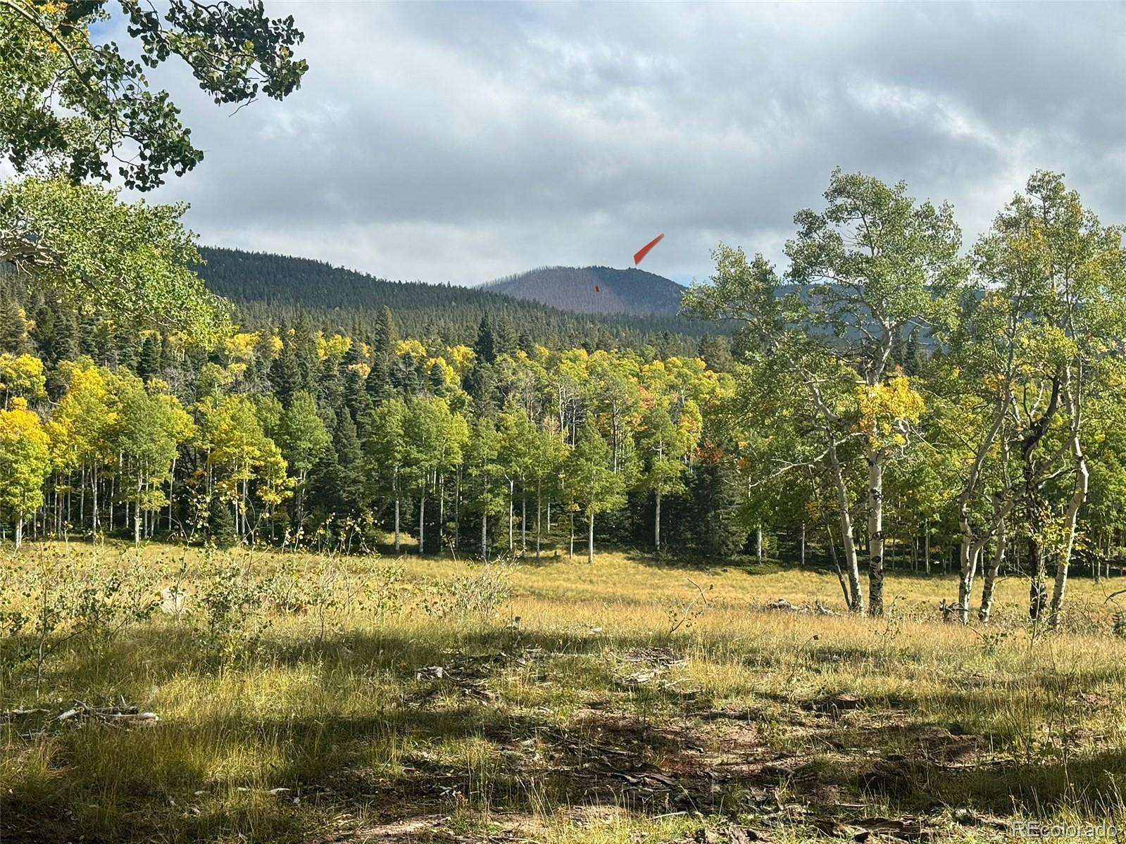 1.5 Acres of Residential Land for Sale in Fort Garland, Colorado