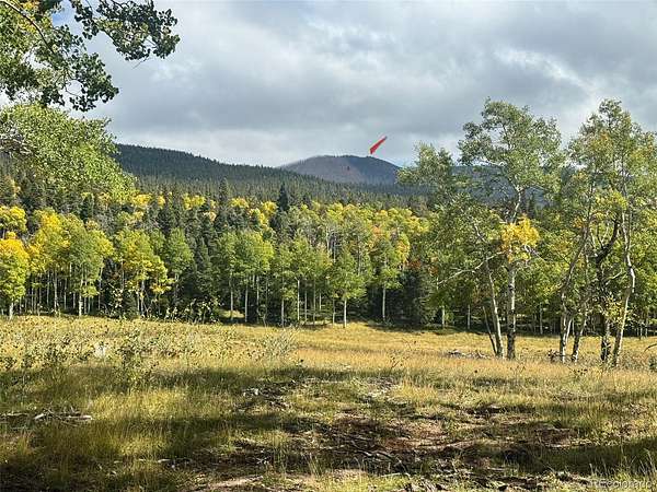 1.5 Acres of Residential Land for Sale in Fort Garland, Colorado