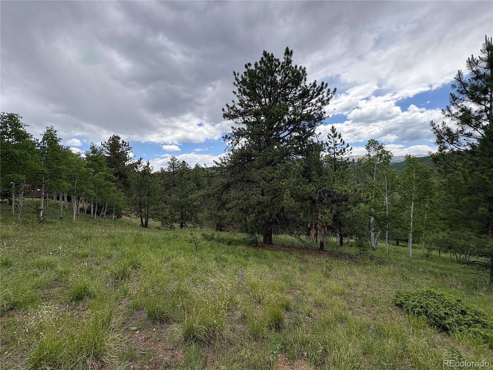 1.4 Acres of Residential Land for Sale in Cripple Creek, Colorado
