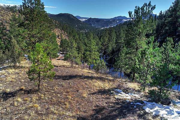 35.6 Acres of Recreational & Residential Land for Sale in Pine Grove, Colorado