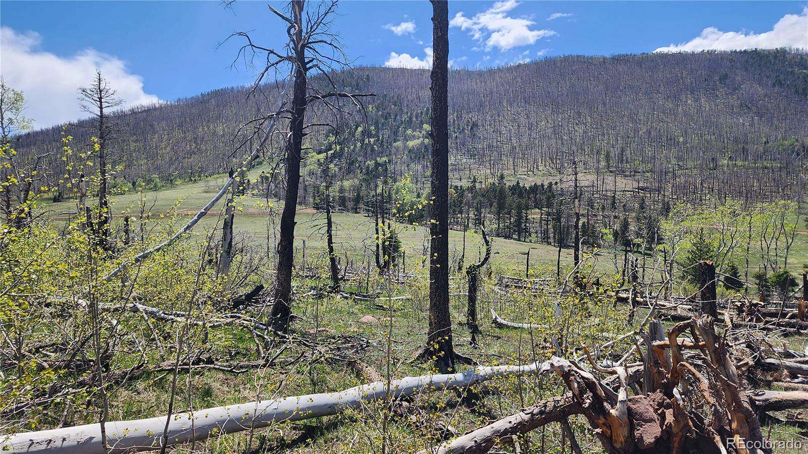 1.78 Acres of Residential Land for Sale in Fort Garland, Colorado