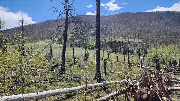 1.78 Acres of Residential Land for Sale in Fort Garland, Colorado