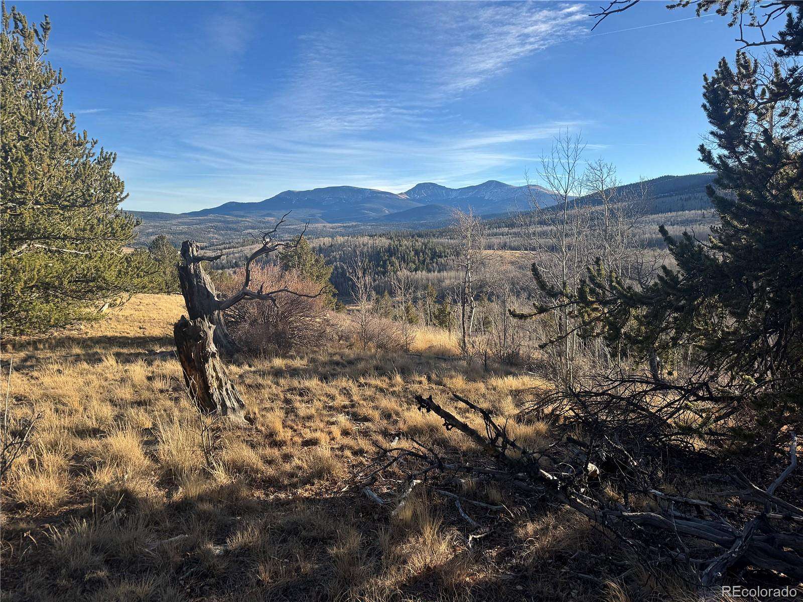 28 Acres of Recreational & Residential Land for Sale in Fairplay, Colorado
