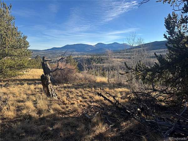 28 Acres of Recreational & Residential Land for Sale in Fairplay, Colorado