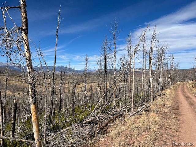 2.86 Acres of Residential Land for Sale in Fort Garland, Colorado