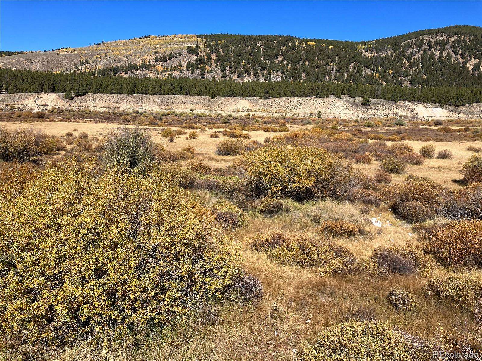 111 Acres of Land for Sale in Leadville, Colorado
