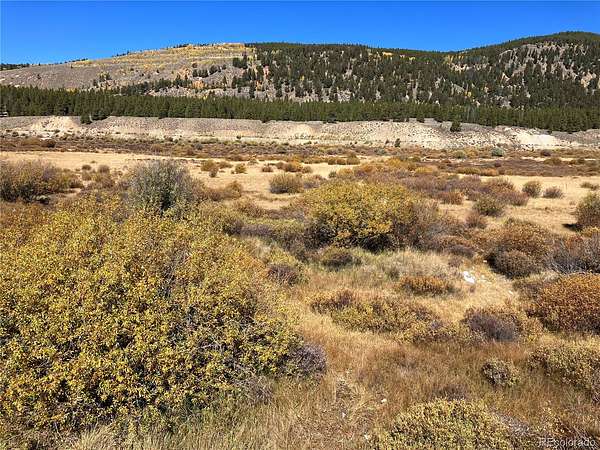 111 Acres of Land for Sale in Leadville, Colorado