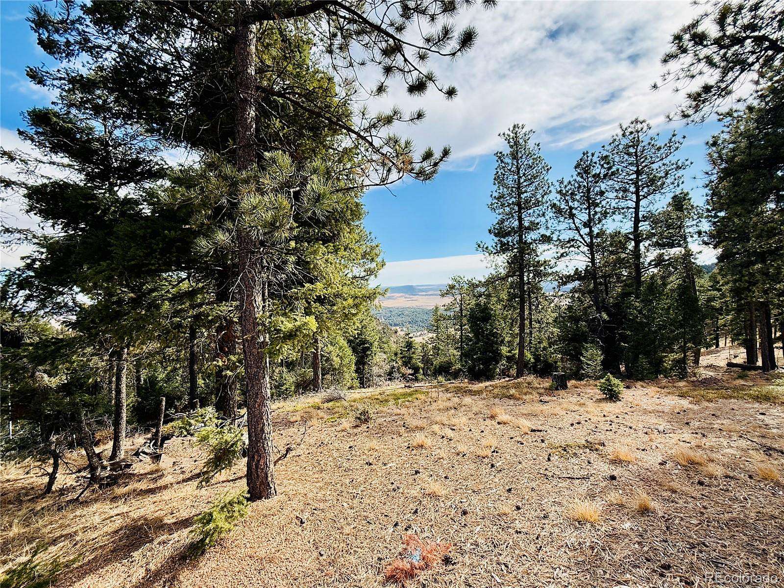 3.1 Acres of Land for Sale in Larkspur, Colorado