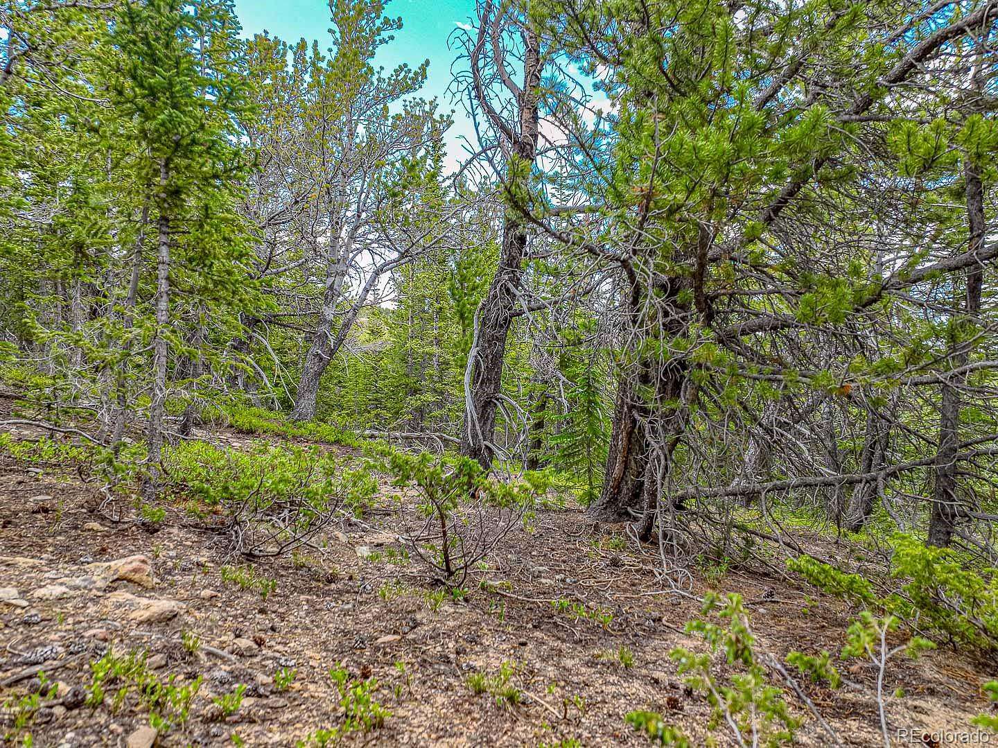 3.82 Acres of Land for Sale in Black Hawk, Colorado