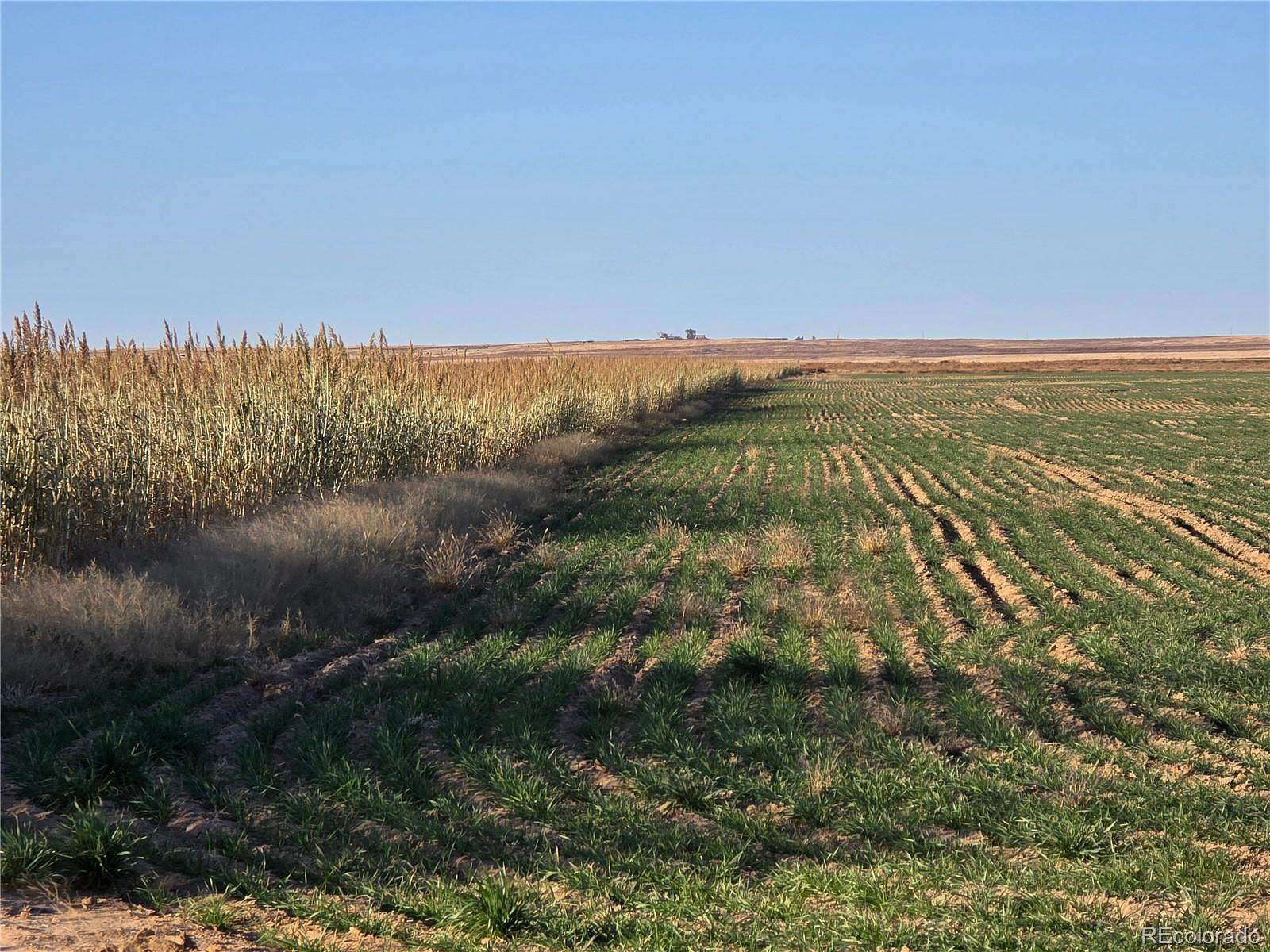 320 Acres of Land for Sale in Haswell, Colorado