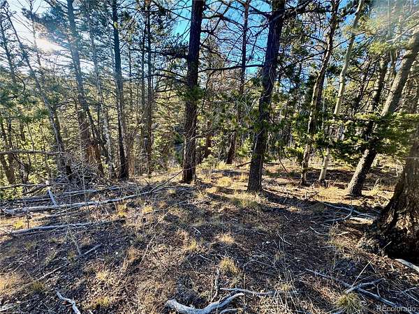 5.5 Acres of Residential Land for Sale in Fort Garland, Colorado
