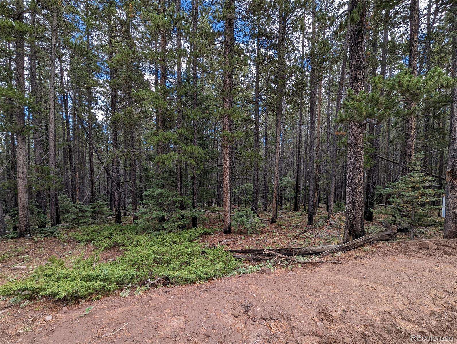 2 Acres of Residential Land for Sale in Fort Garland, Colorado