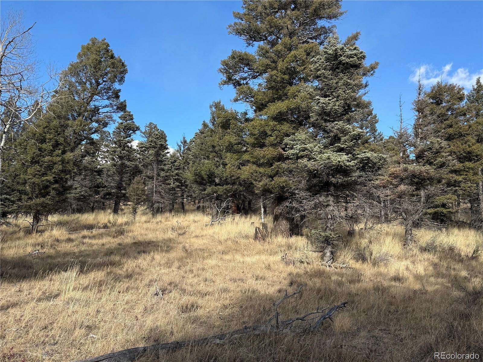 40 Acres of Land for Sale in Fort Garland, Colorado