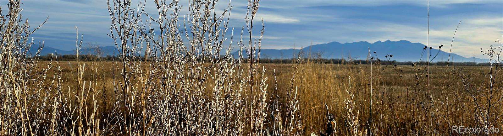 150 Acres of Land for Sale in Alamosa, Colorado