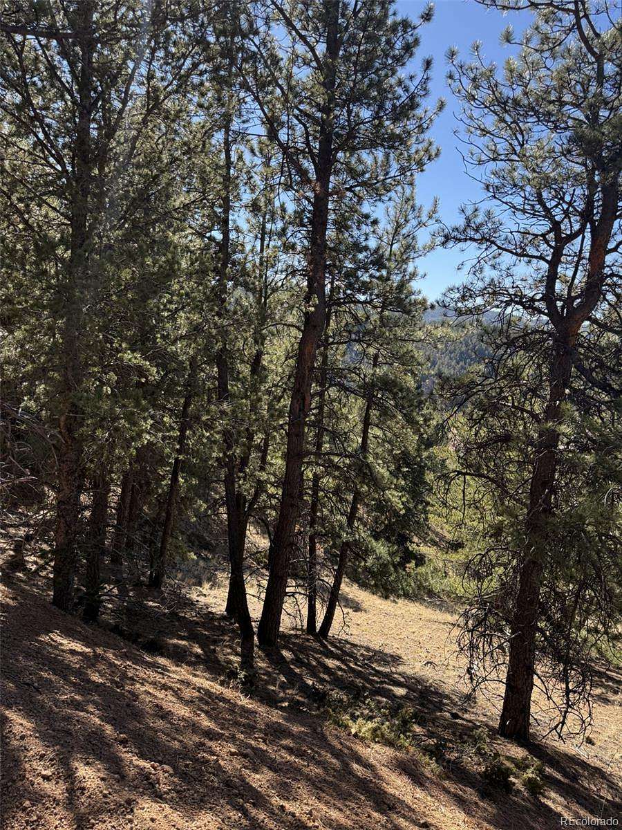 1 Acre of Residential Land for Sale in Divide, Colorado