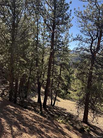 1 Acre of Residential Land for Sale in Divide, Colorado