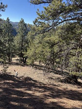 0.88 Acres of Residential Land for Sale in Divide, Colorado